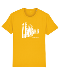 Le sable doré brise-lames